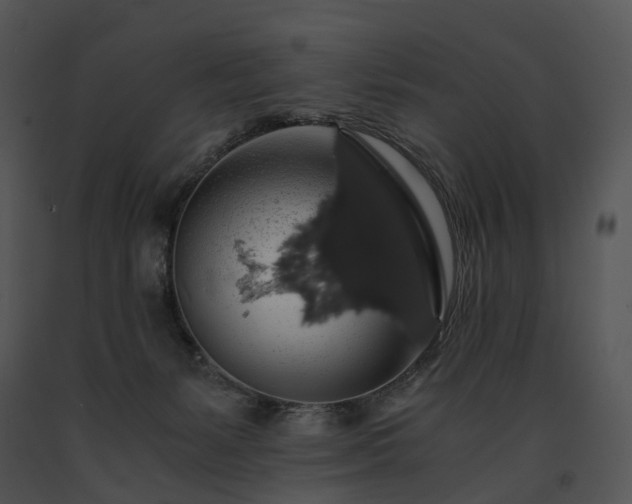 X0000091680127200708301528