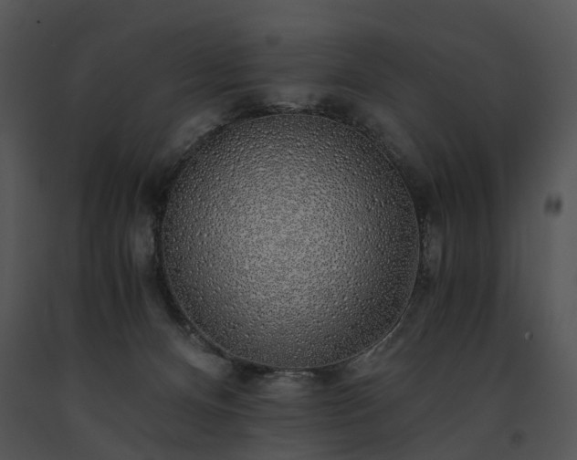 X0000091680128200708301528
