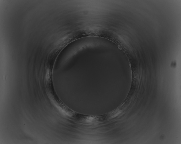 X0000091680130200708301528