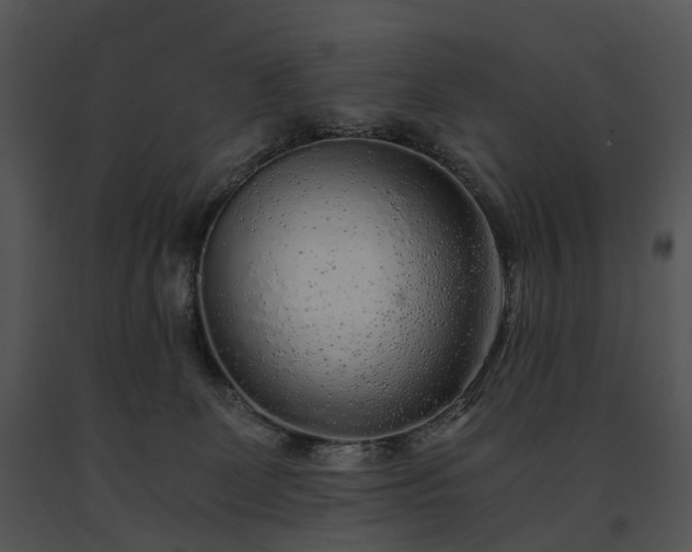X0000091680131200708301528