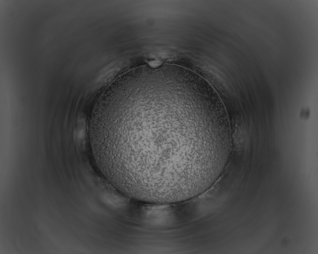X0000091680132200708301528