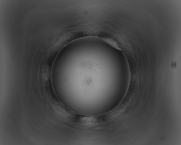 X0000091680133200708301528