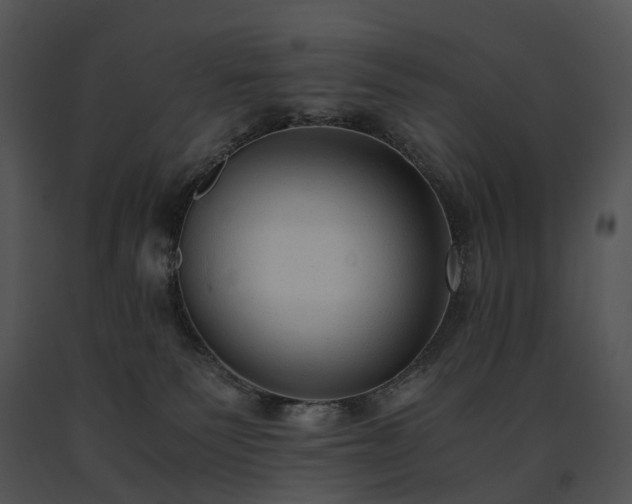 X0000091680135200708301527
