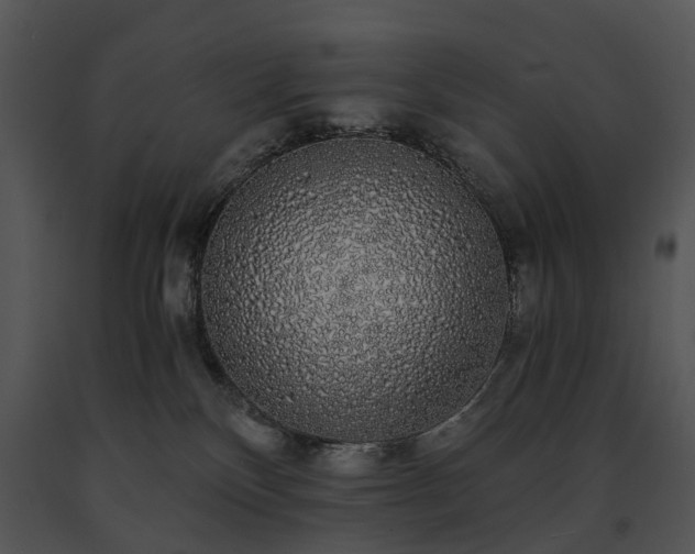 X0000091680136200708301527