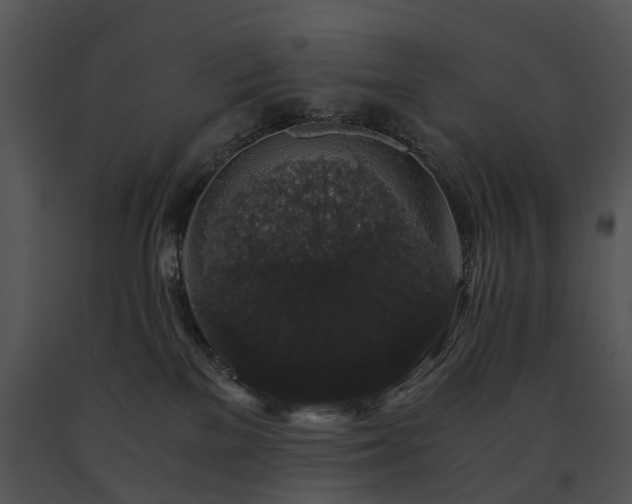 X0000091680137200708301527