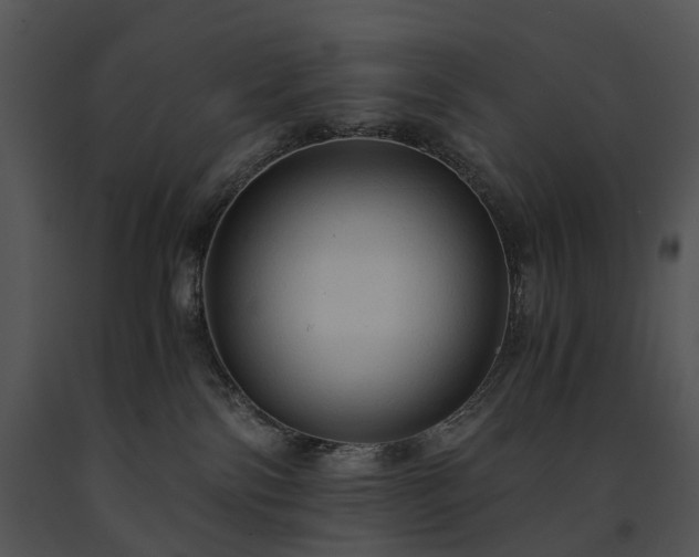 X0000091680138200708301527