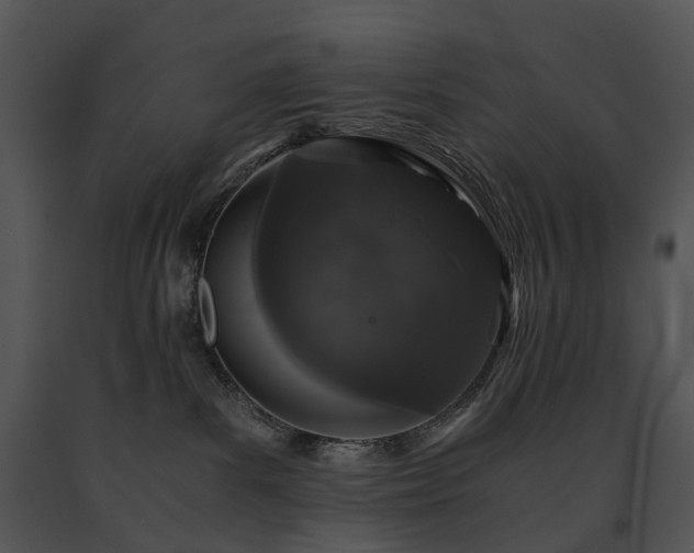 X0000091680139200708301527