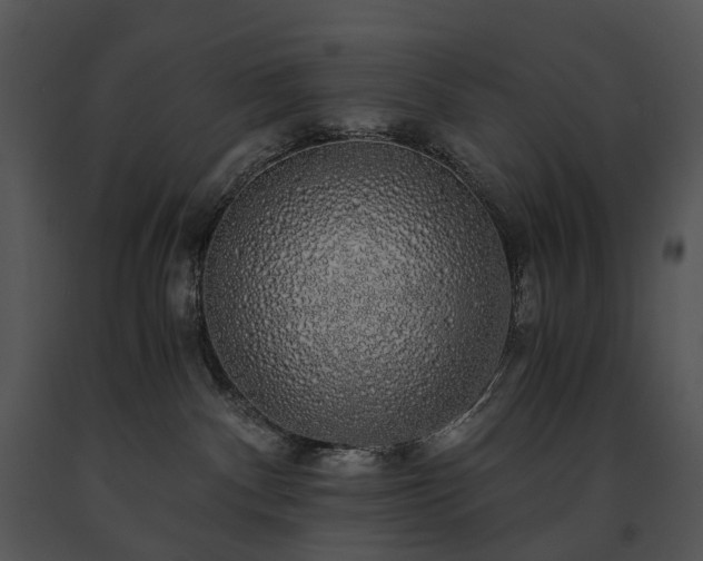 X0000091680140200708301527