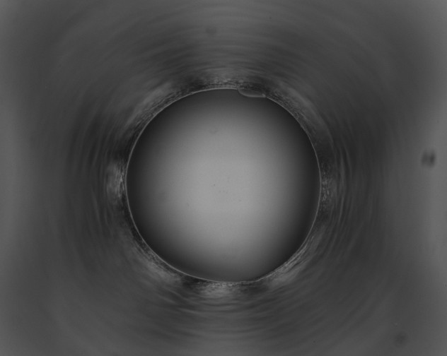 X0000091680142200708301527