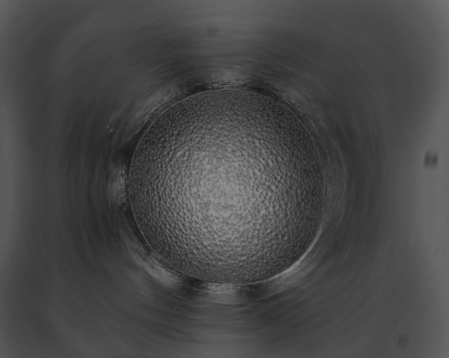 X0000091680144200708301527