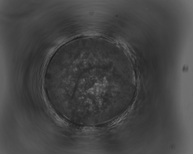 X0000091680145200708301527