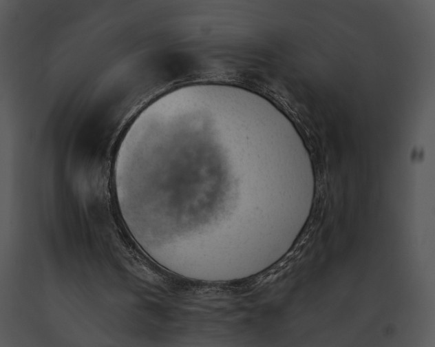 X0000091680146200708301527