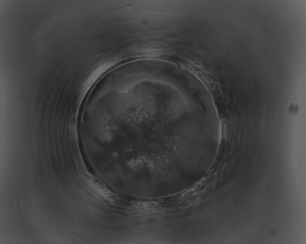 X0000091680147200708301527