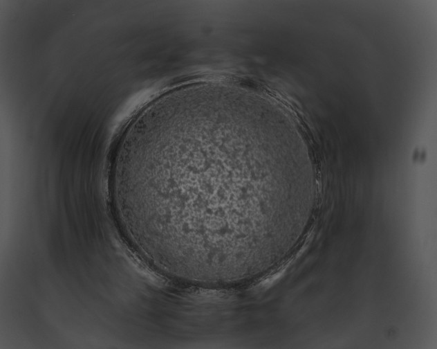X0000091680149200708301527