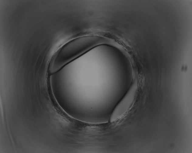 X0000091680150200708301527