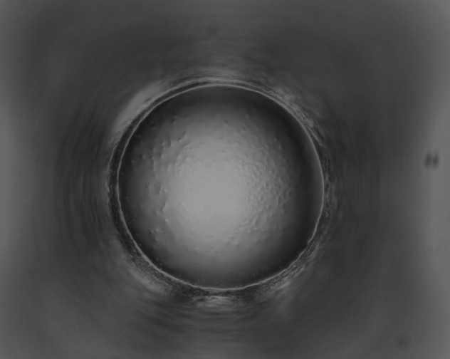 X0000091680151200708301527