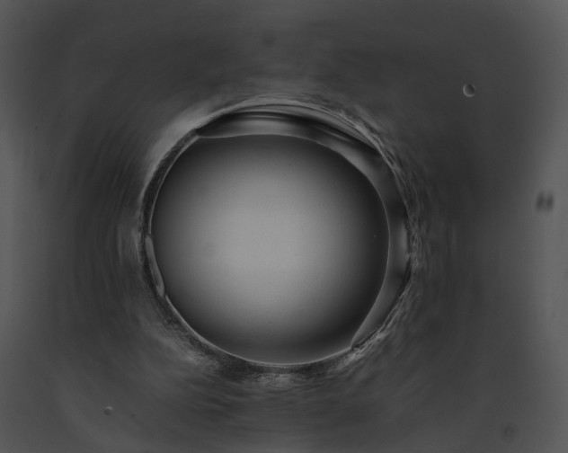 X0000091680152200708301527
