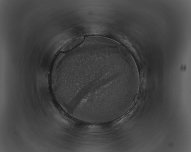 X0000091680154200708301527