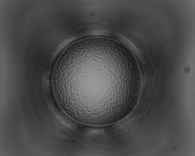 X0000091680155200708301527