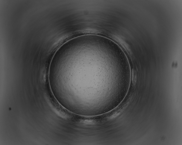 X0000091680157200708301527