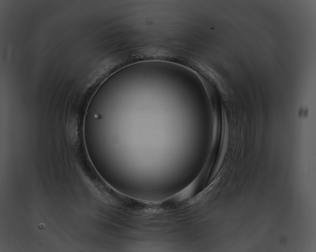 X0000091680158200708301527
