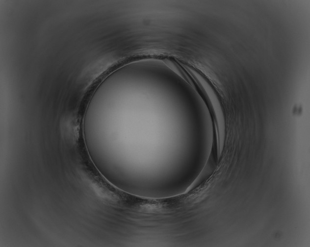 X0000091680160200708301527