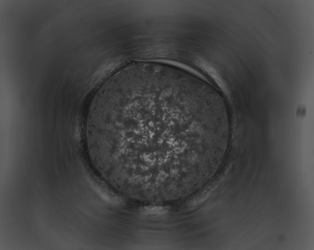 X0000091680161200708301527