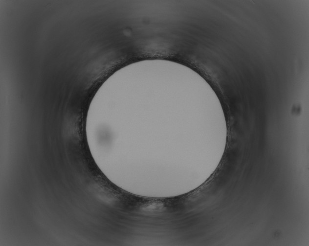 X0000091680162200708301527
