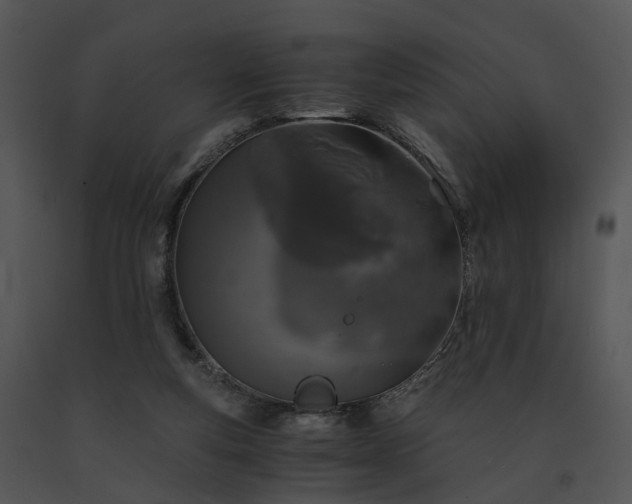 X0000091680163200708301527