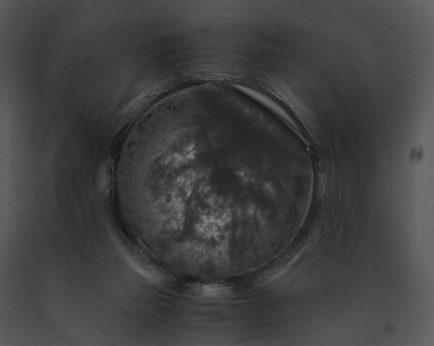 X0000091680165200708301527
