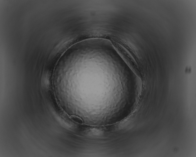 X0000091680166200708301527