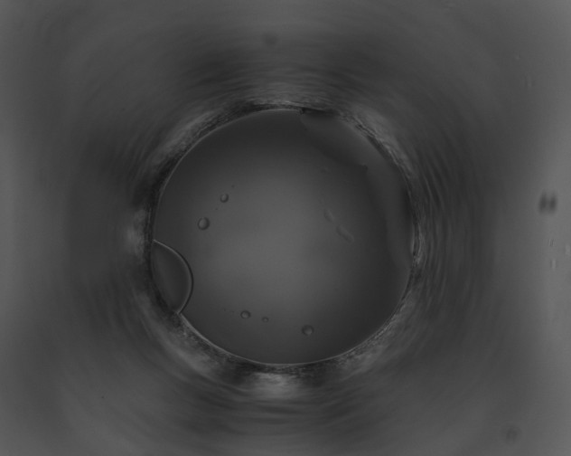 X0000091680167200708301527