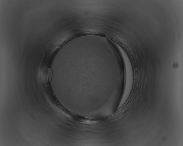 X0000091680168200708301527