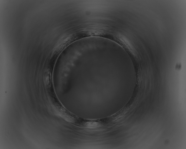 X0000091680169200708301527