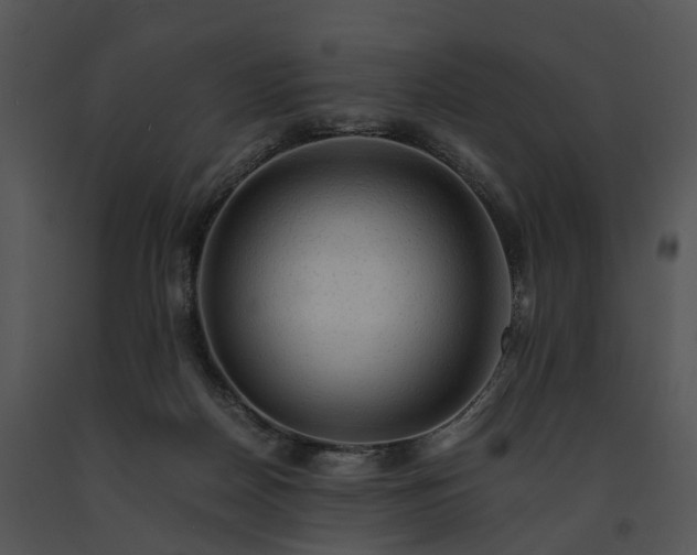 X0000091680170200708301527