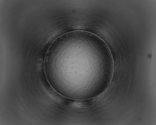 X0000091680171200708301527