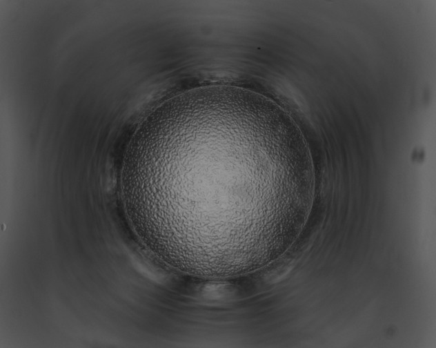 X0000091680173200708301527