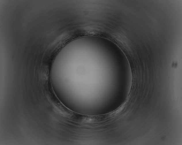 X0000091680174200708301527