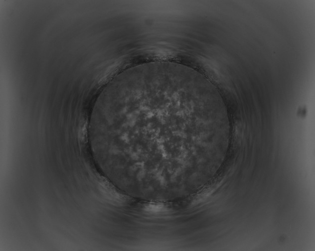 X0000091680177200708301527