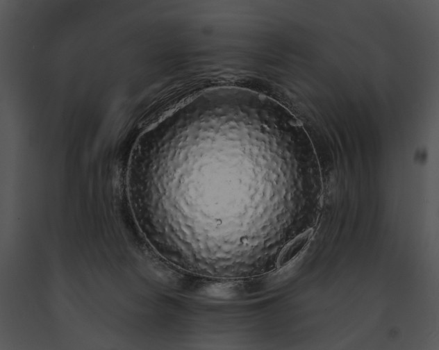 X0000091680178200708301527