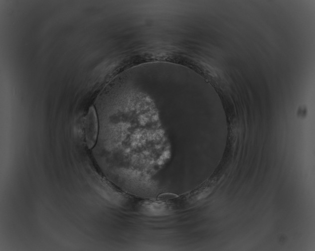 X0000091680181200708301527