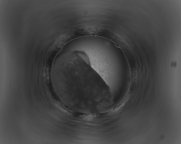 X0000091680182200708301527