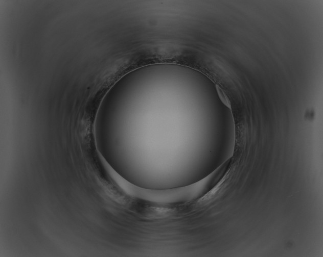 X0000091680184200708301527