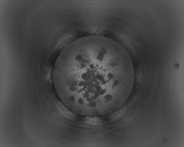 X0000091680185200708301527