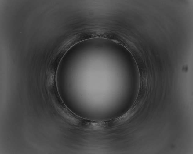 X0000091680188200708301527