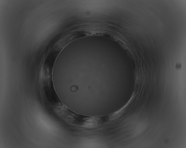 X0000091680191200708301527