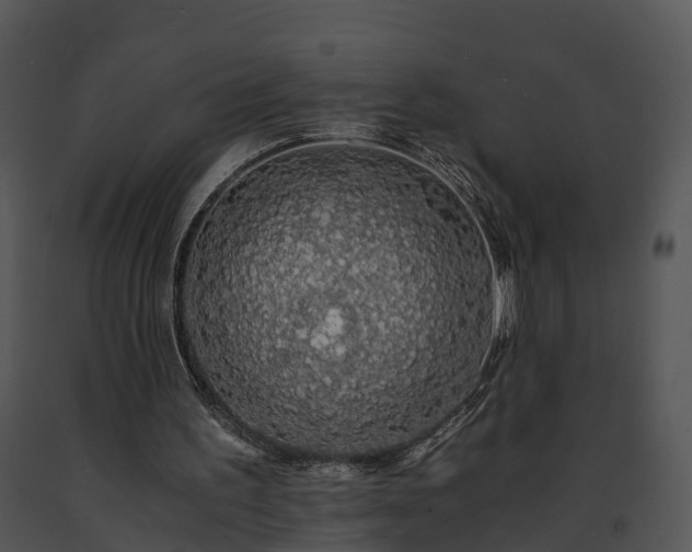 X0000091680195200708301527