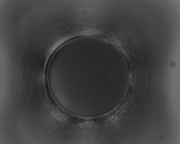 X0000091680196200708301527