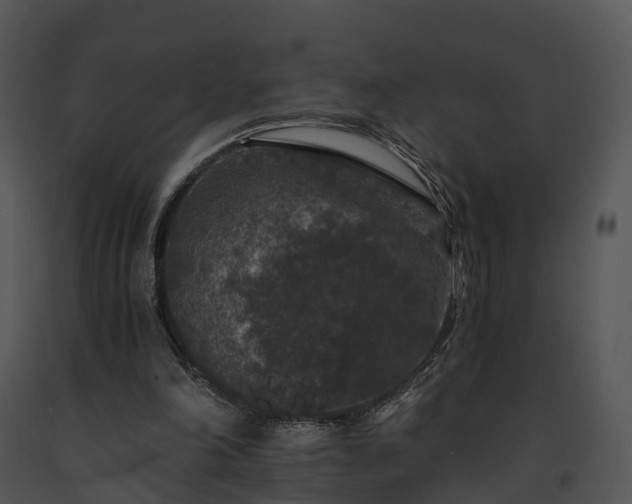 X0000091680198200708301527