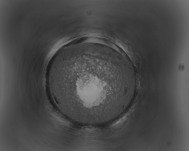 X0000091680199200708301527
